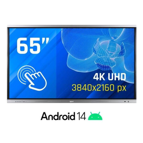 iggual Interactive 4K ORCHID 65" Monitor